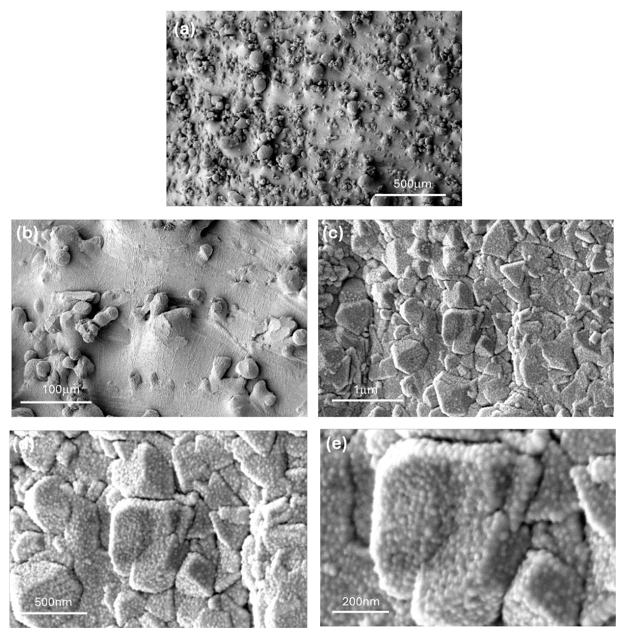 Figura 7. Microscopia reproduzida do manuscrito, figuras 6 (p. 20) e 7 (p. 22). As imagens evidenciam superfícies em diferentes